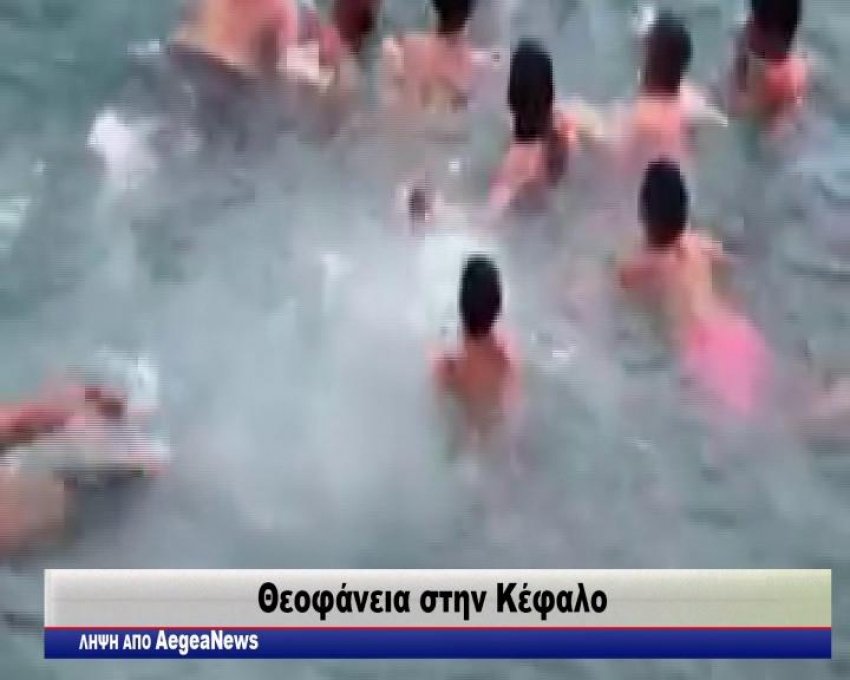 ΤΑ ΘΕΟΦΑΝΕΙΑ ΣΤΙΣ ΔΗΜΟΤΙΚΕΣ ΚΟΙΝΟΤΗΤΕΣ ΤΗΣ ΚΩ/video